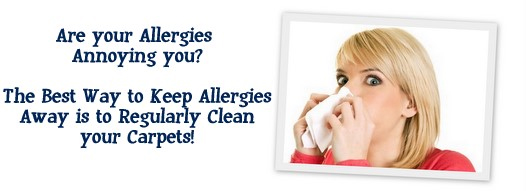 Carpet Cleaning Long Beach,  NY