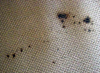 Spot & Stain Removal Long Beach,  NY