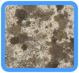 Long Beach,  NY Water Damage Restoration